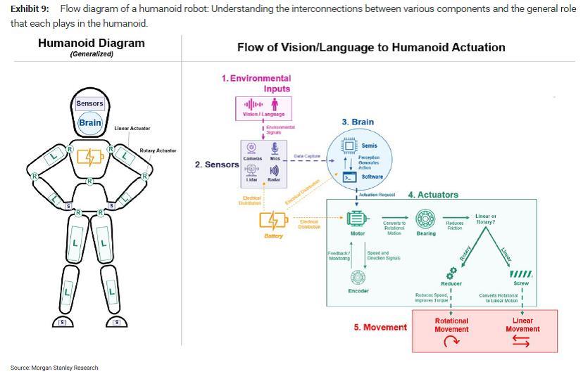 Humanoid Diagram
